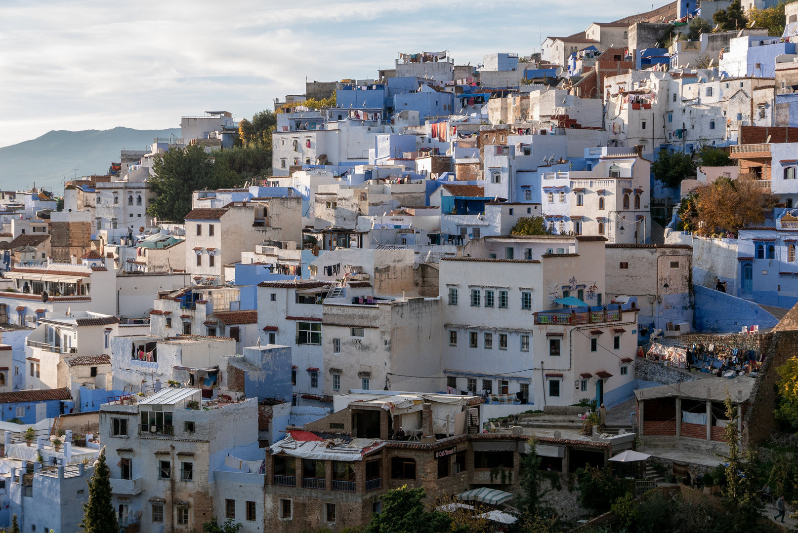 Blue Medina