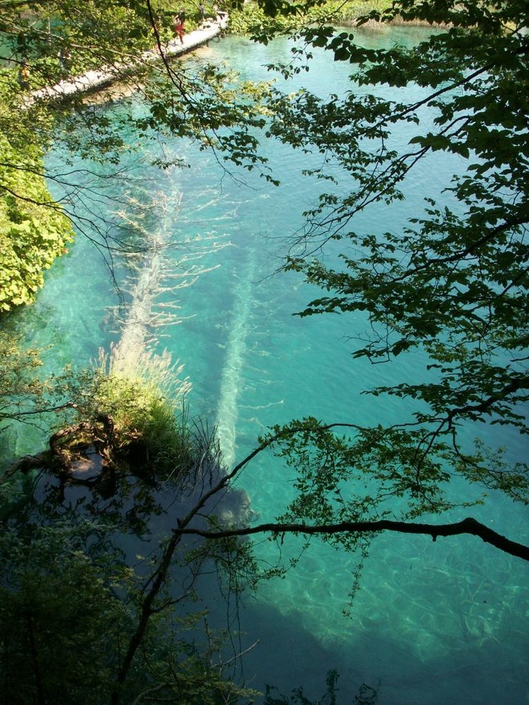 blue meets green at plitvice lakes