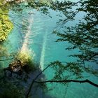 blue meets green at plitvice lakes