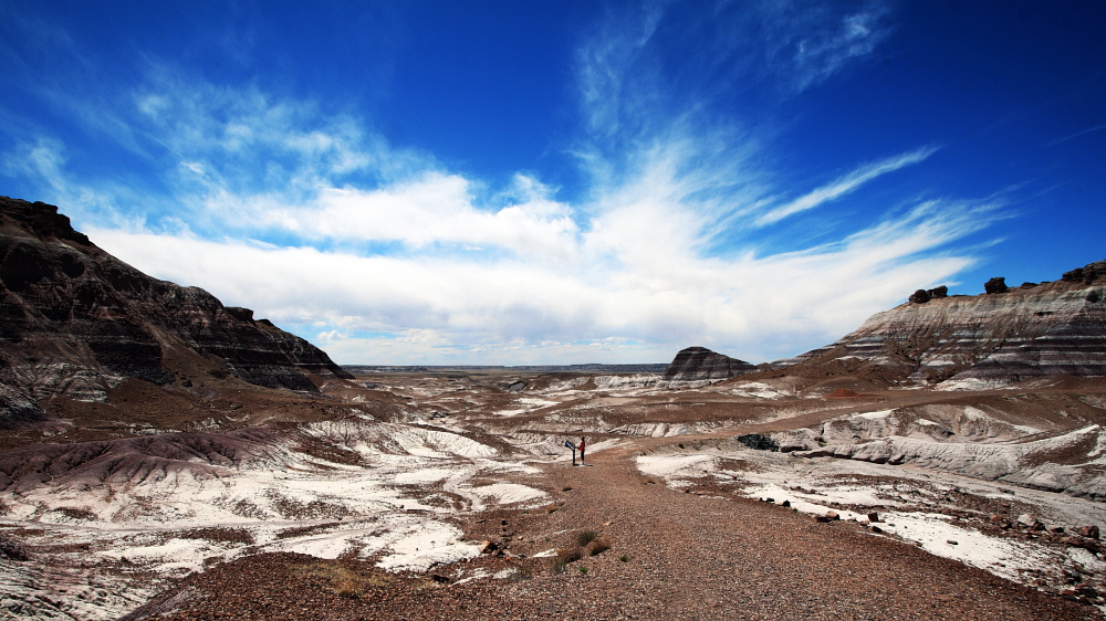 Blue Mesa Overview