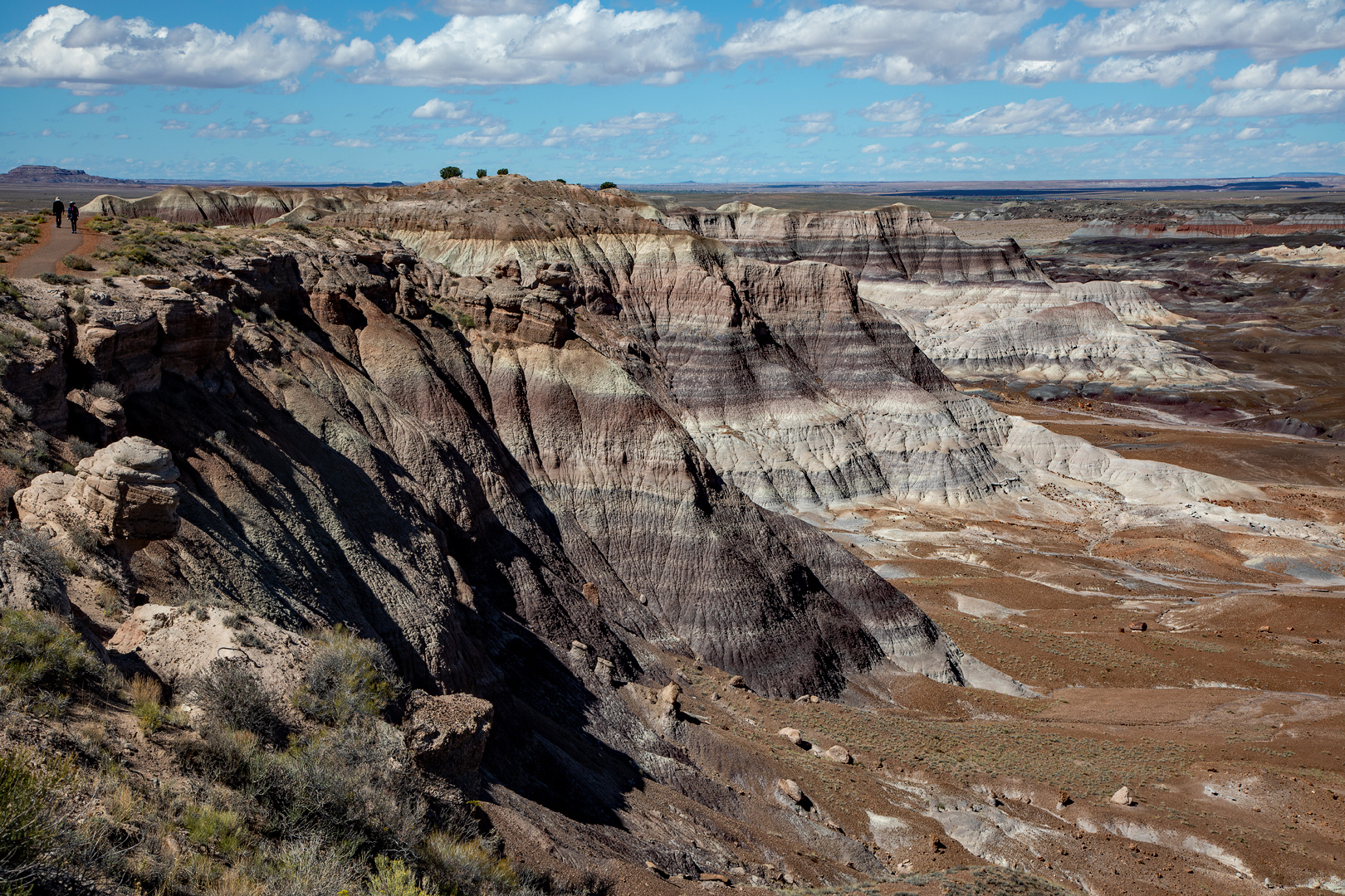 Blue Mesa Scenic Drive