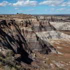 Blue Mesa Scenic Drive