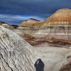 Blue Mesa: Self-portrait