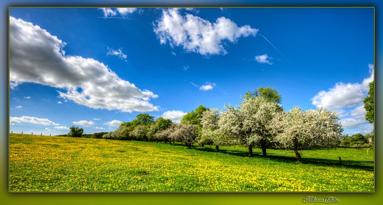  blue Monday am 29.04.2024