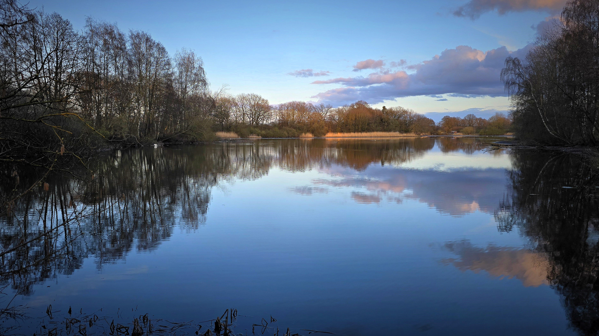 Blue Monday am Fischteich