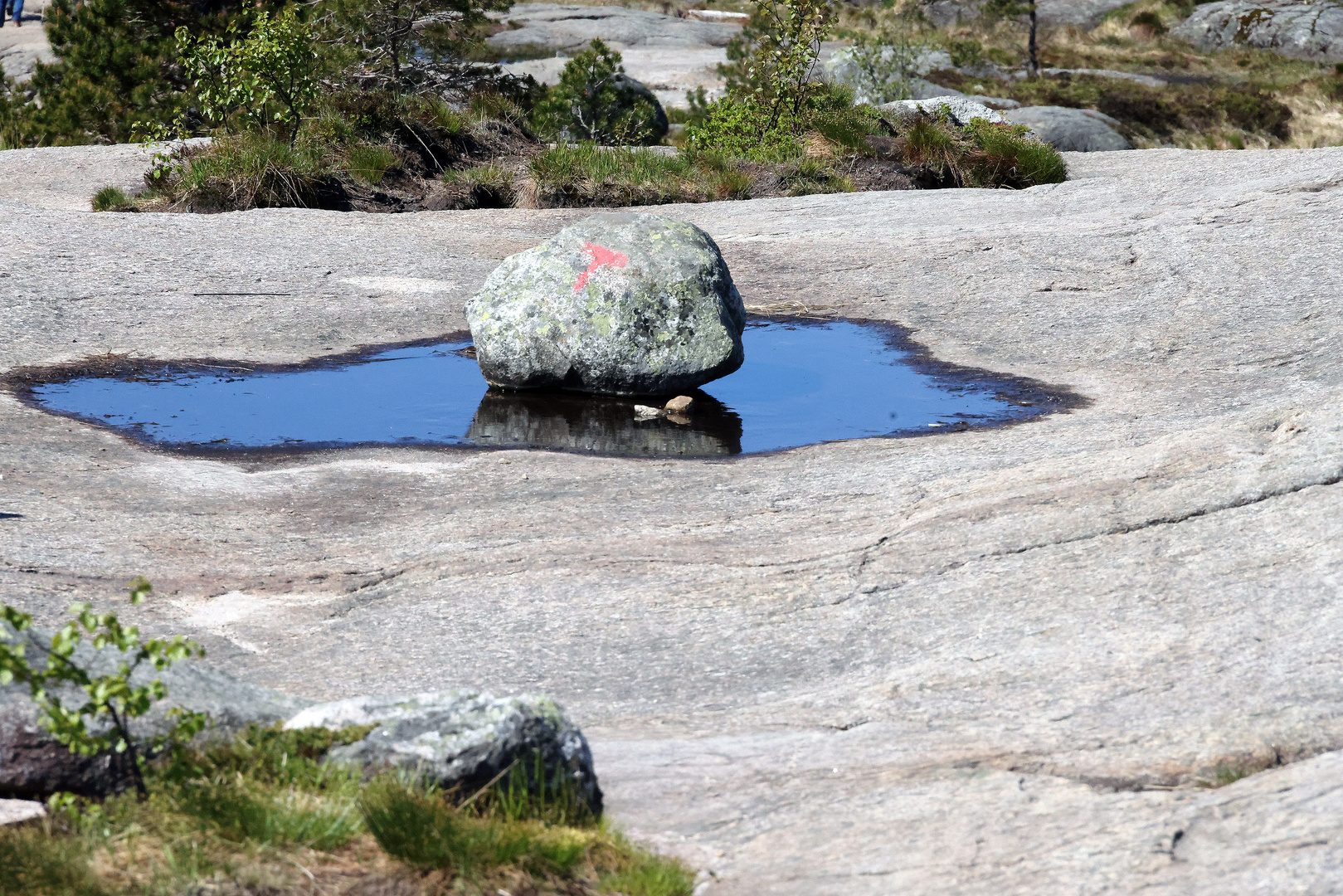 Blue monday am Preikestolen 