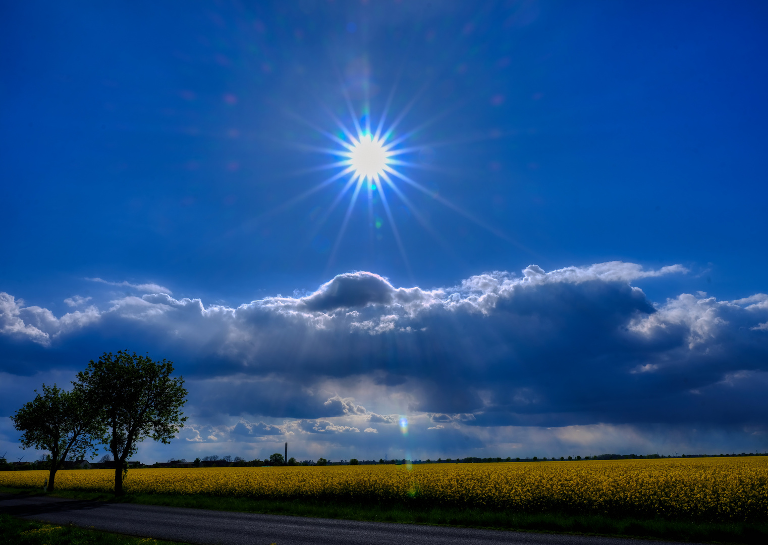 Blue Monday: Auf Regen folgt Sonne...