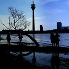 Blue Monday beim letzten Hochwasser am Rhein