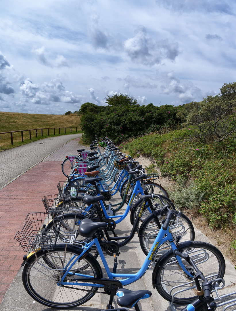 Blue Monday - Bike and Fly