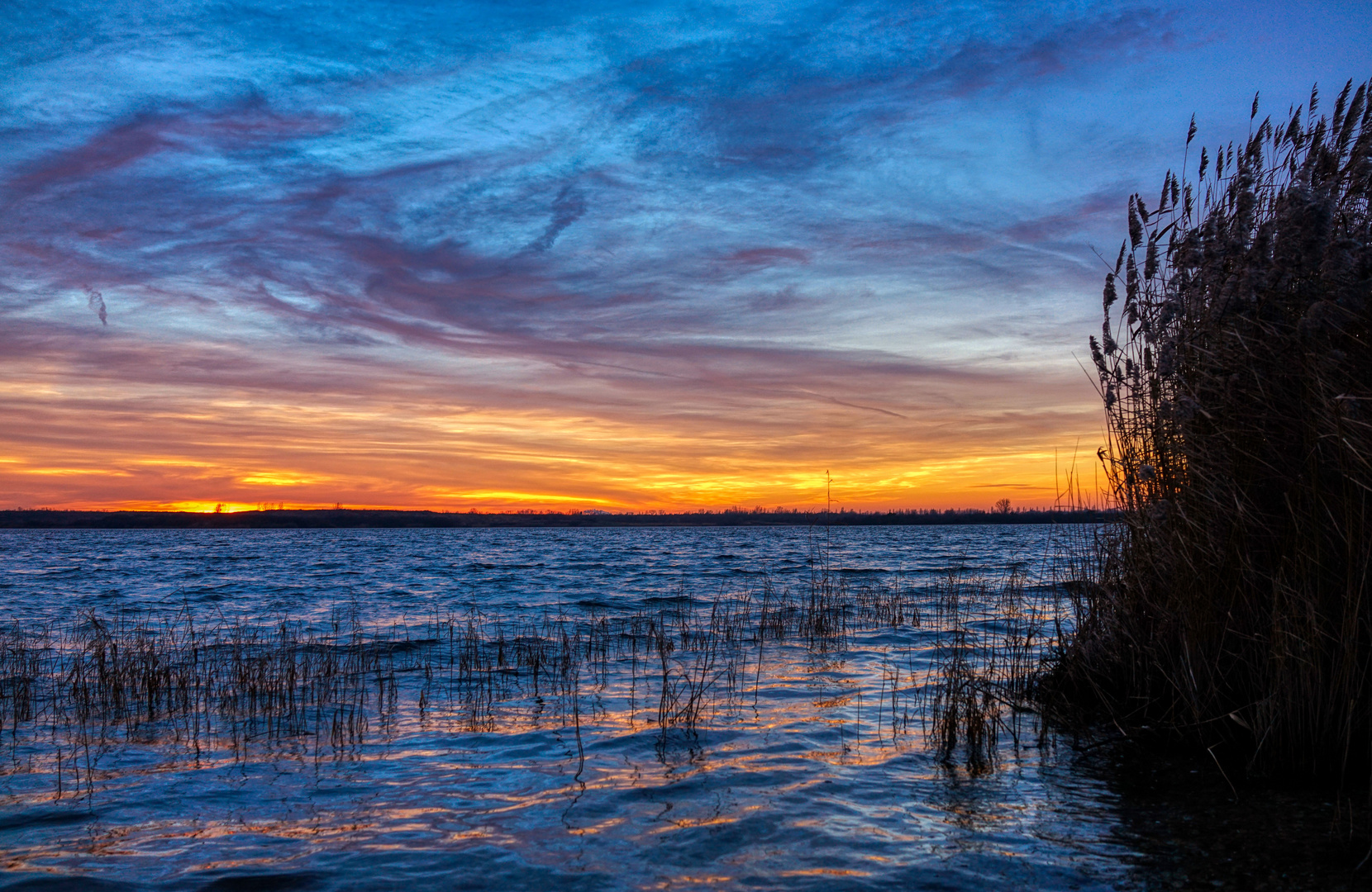 Blue Monday: Blau-Rot-Blau