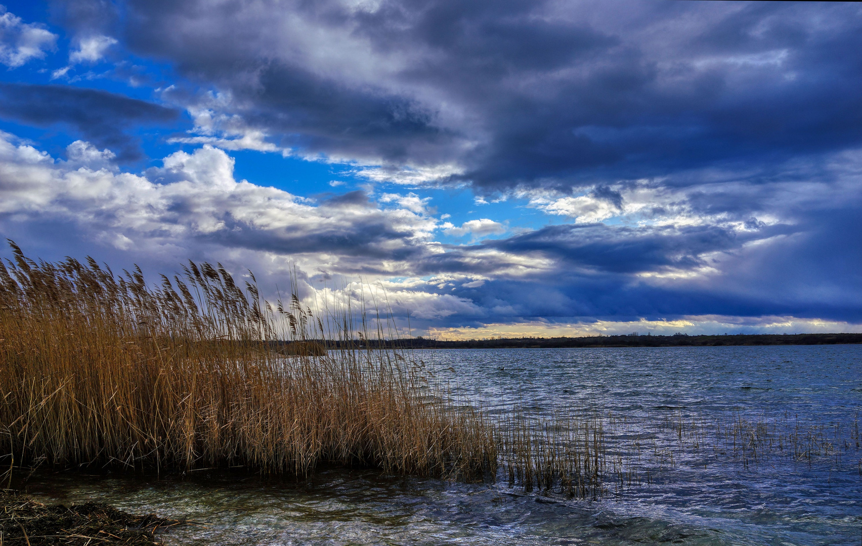 Blue Monday - Blick ins "Blaue" ...