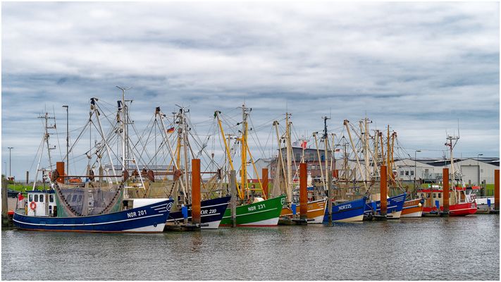 Blue Monday - Fischereihafen