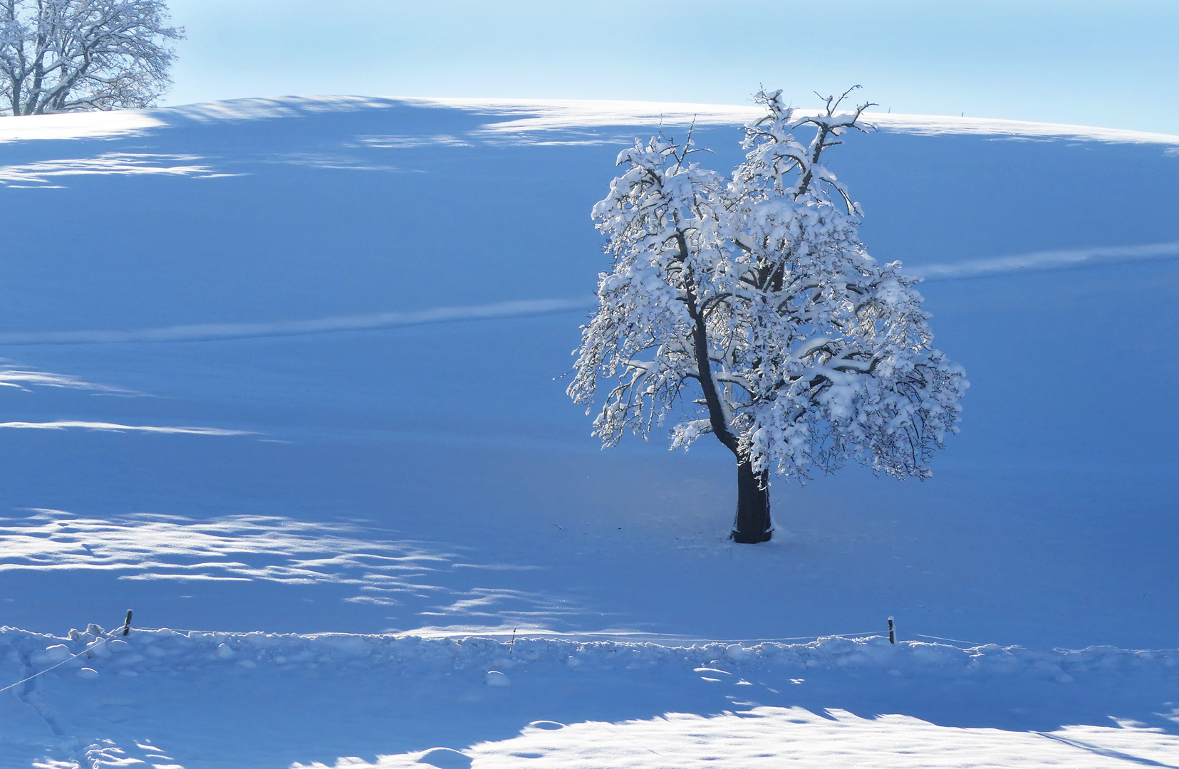 Blue-Monday im Schnee