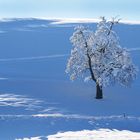 Blue-Monday im Schnee