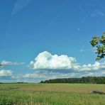 Blue -Monday-Landschaft