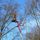 Blue Monday - mit Arbeit bei Sonnenschein