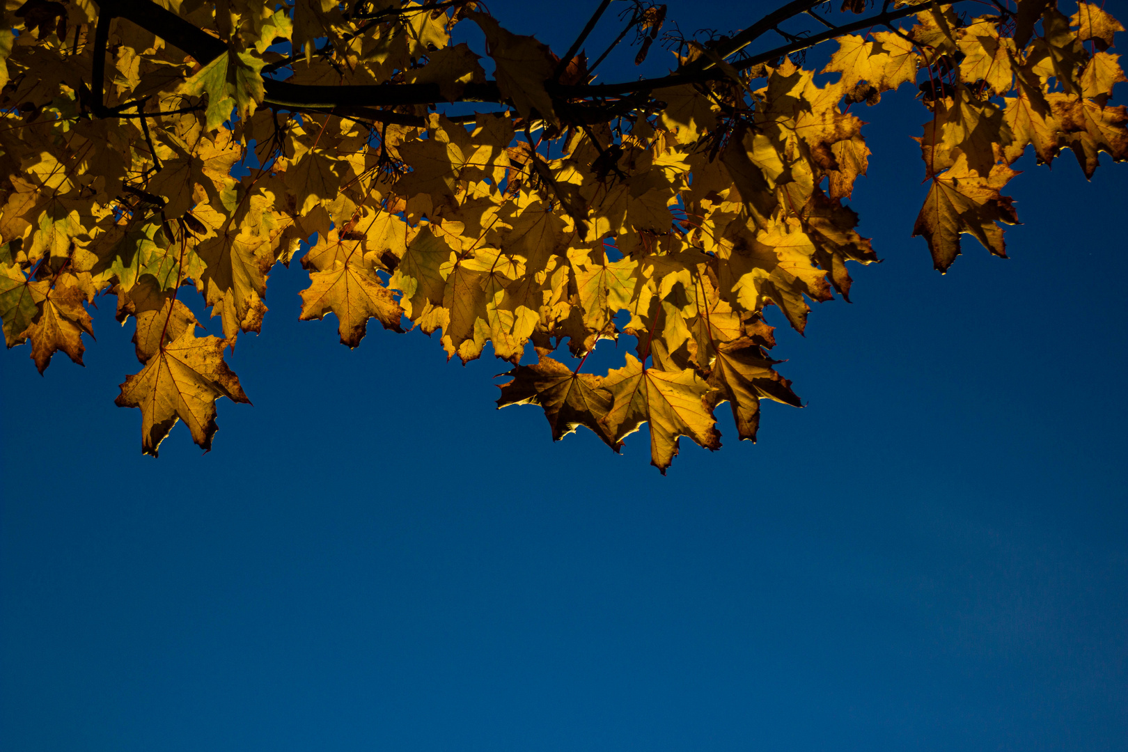 Blue Monday mit Sonnenschein ...