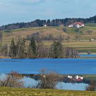 Blue Monday mit Spiegelung