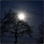 Blue Monday - Mondlicht hinter den Wolken