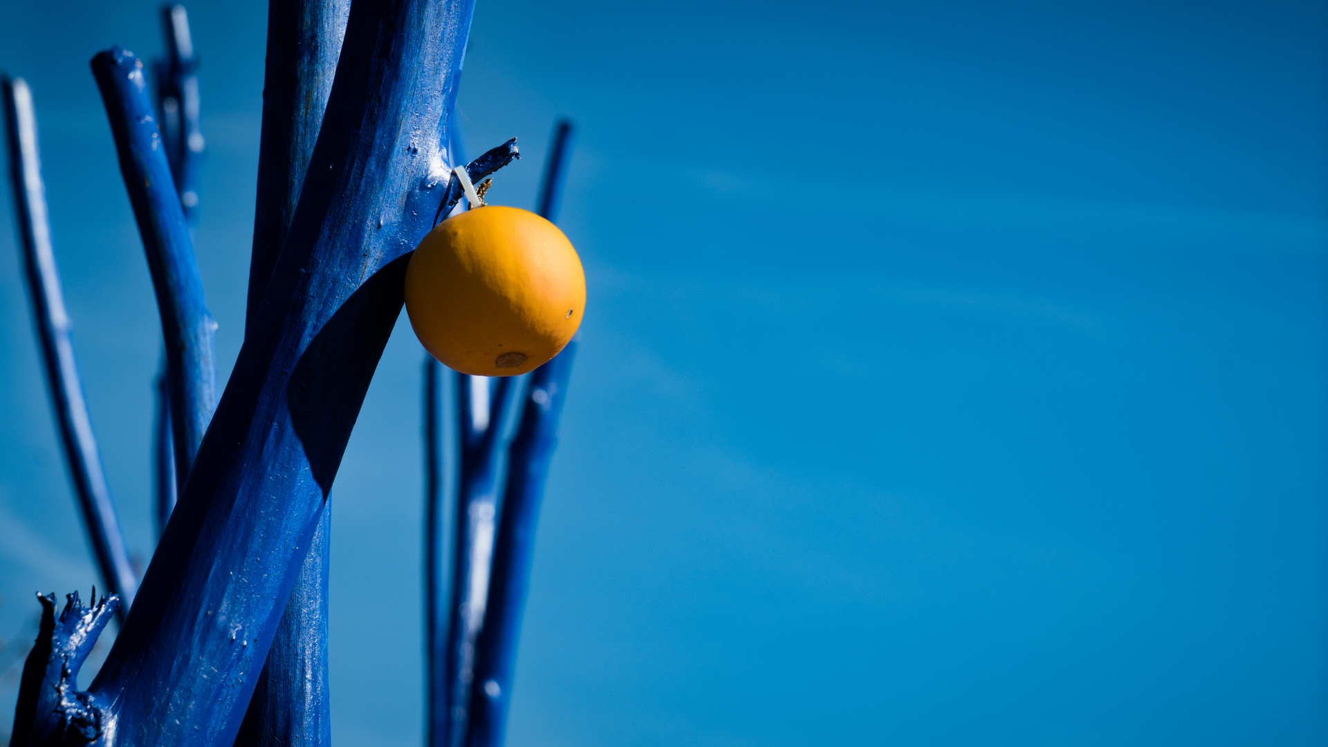 Blue Monday - the mini pumpkin