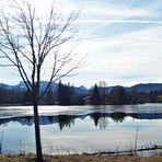 Blue Monday und Spiegeltag in einem