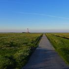 Blue Monday-Westerhever