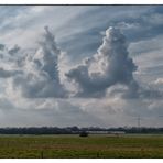 Blue Monday - Wolken-(Tiere)