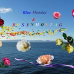  Blue Monday...Rosenmontag