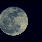 Blue Moon (16 - 01 - 2014