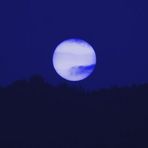 Blue Moon