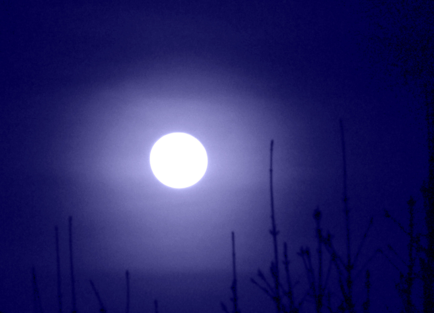 Blue moon