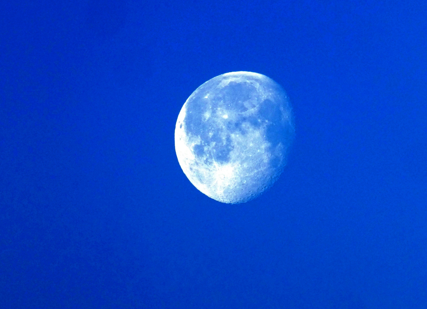 Blue Moon