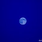 Blue Moon