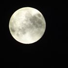 "blue moon" seen from my terrace Aug 31st 2012