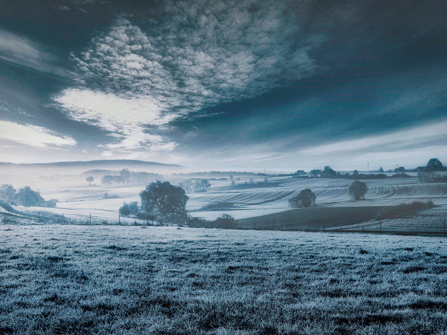 blue morning