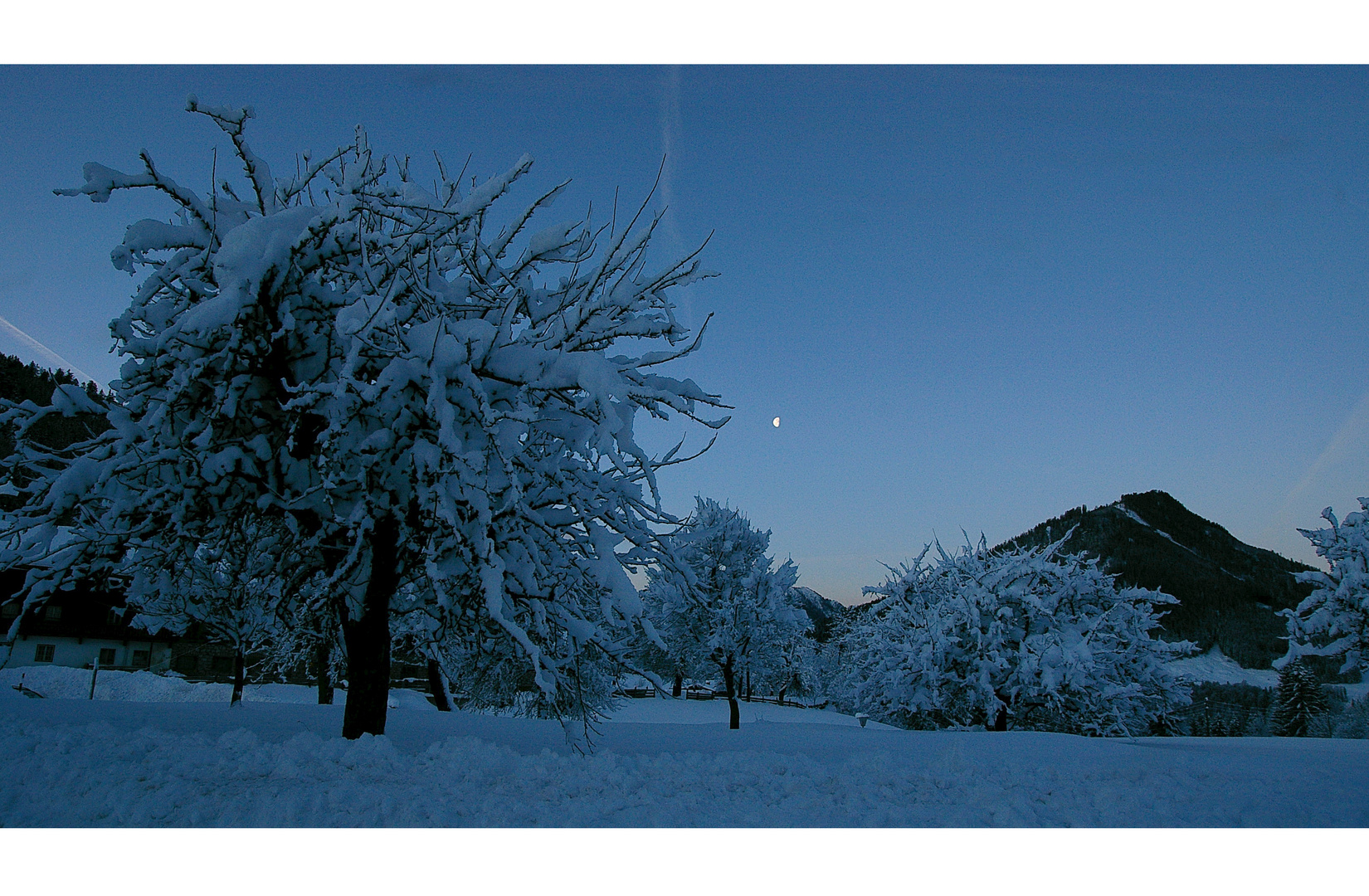 *** blue morning ***