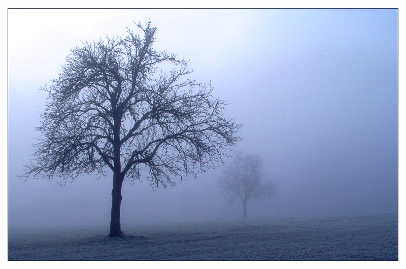 blue Morning