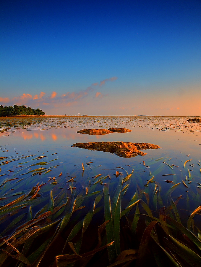 BLUE MORNING