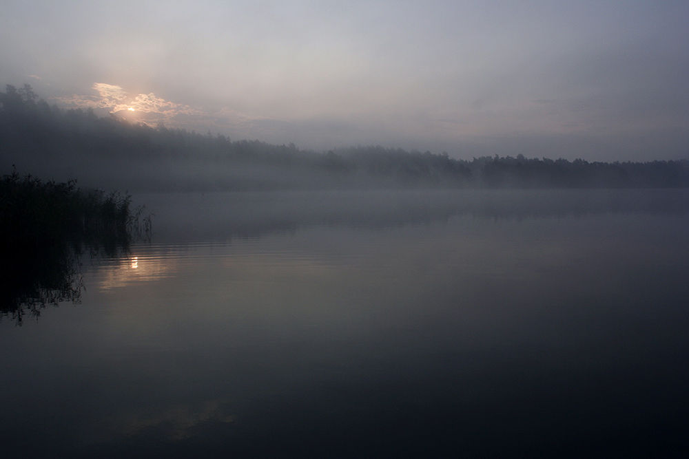 Blue Morning