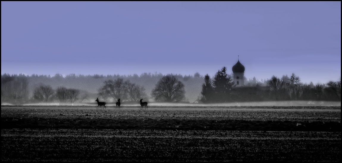 blue morning