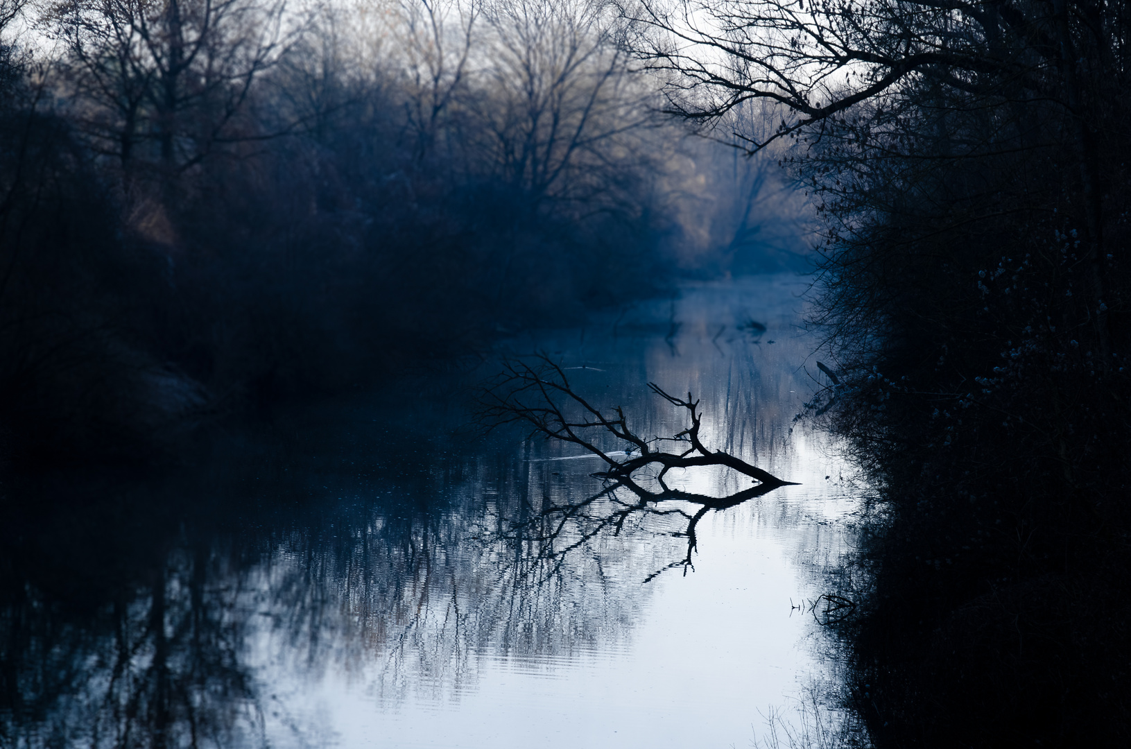 blue morning