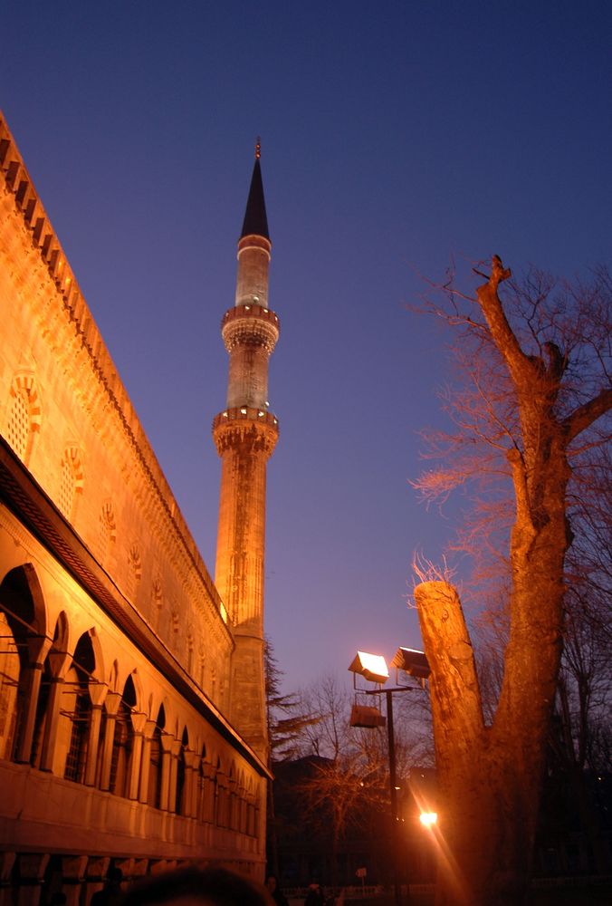 Blue Mosque at Night