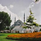 Blue Mosque - Istanbul - TURKEY