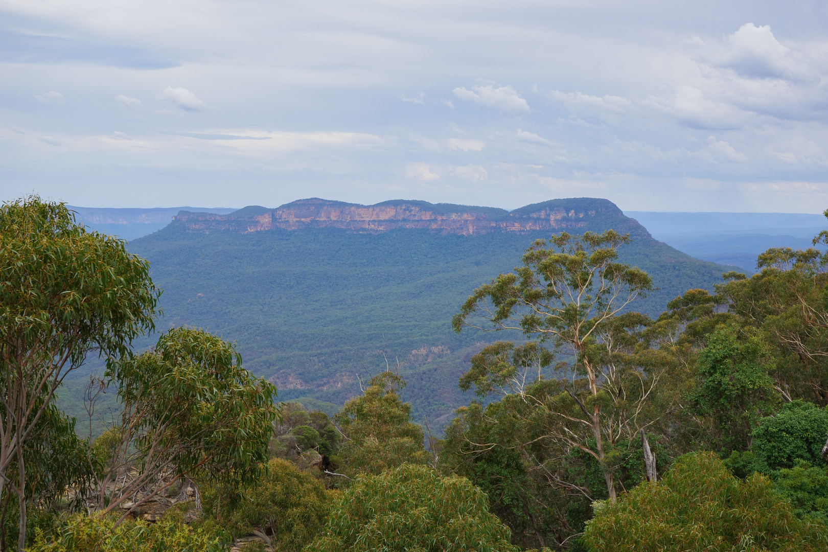 Blue Mountains