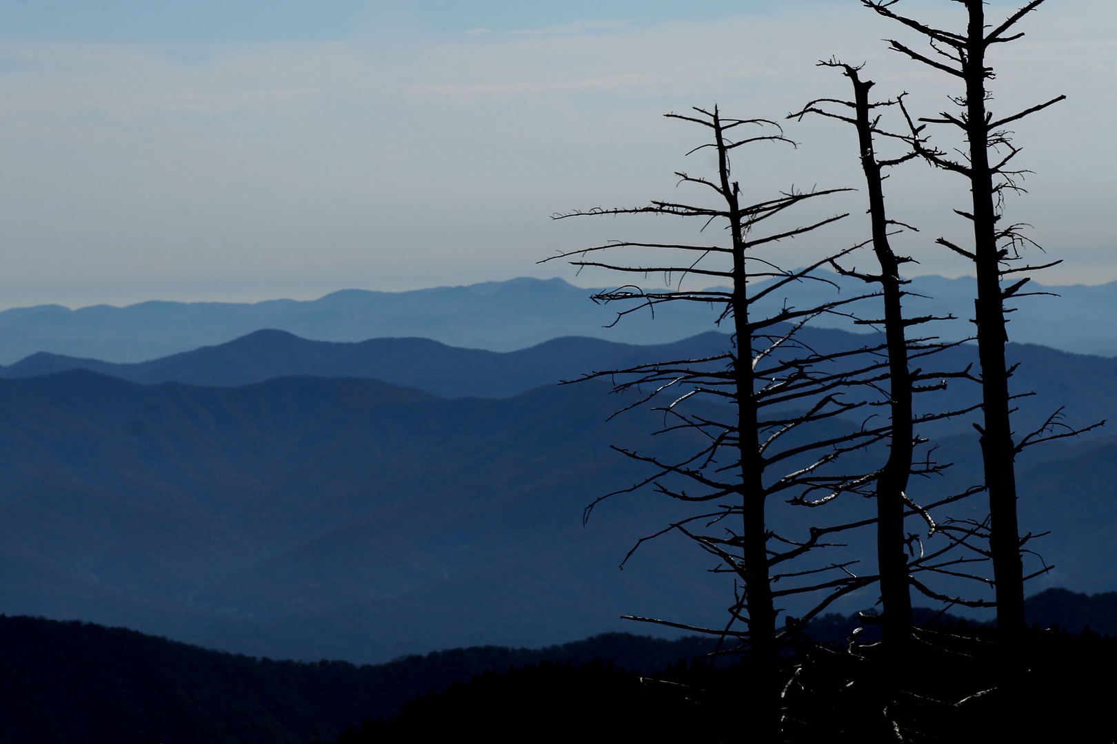 Blue Mountains