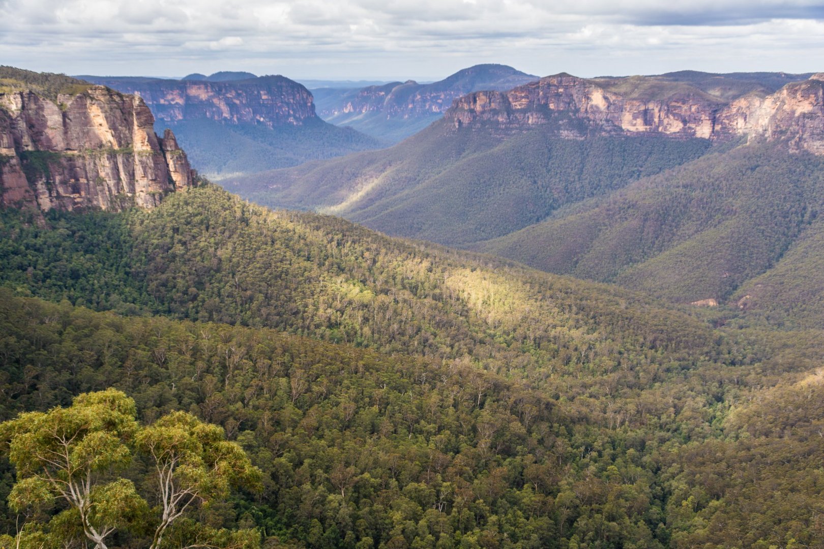 Blue Mountains