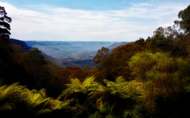 Blue Mountains