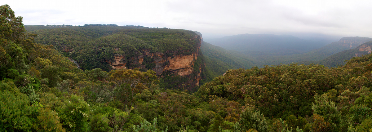 Blue Mountains