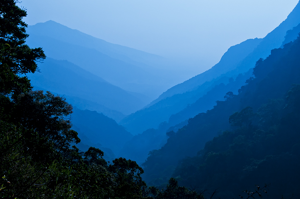 Blue Mountains