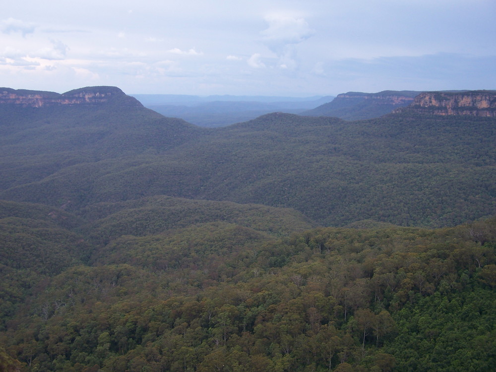 Blue Mountains